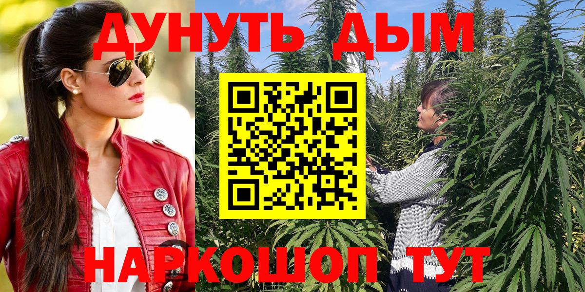 Бошки Шишки семена  Конопля сатива  Шишки марихуана сатива  Шишки марихуана Amnesia  Севастополь  Вход с VPN 